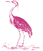 HERON2.gif (1176 octets)